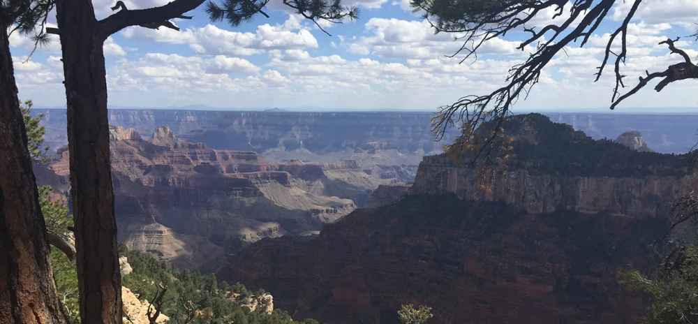 Grand Canyon National Park Upgrades Fleet of Shuttle Buses